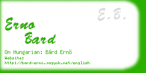 erno bard business card
