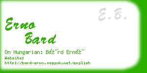 erno bard business card